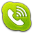 Skype Phone Alt Green Icon